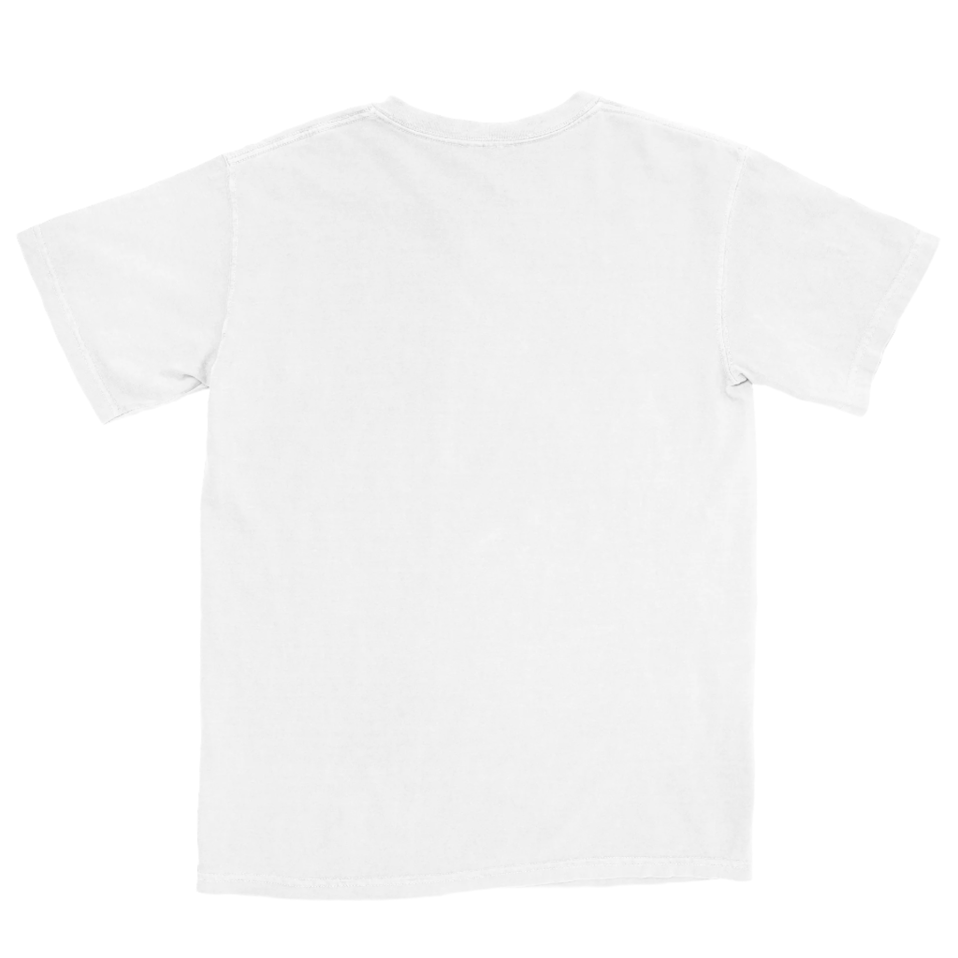 Thunder Mountain Tee